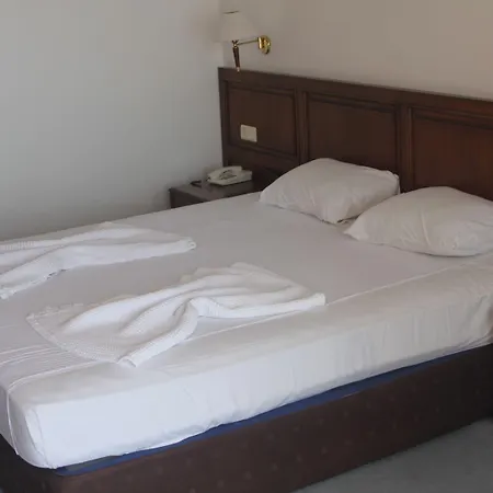 Grand Sahin's Hotel 3*