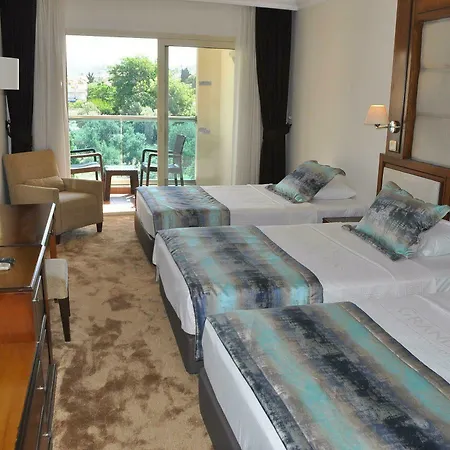 Grand Sahin's Hotel 3*