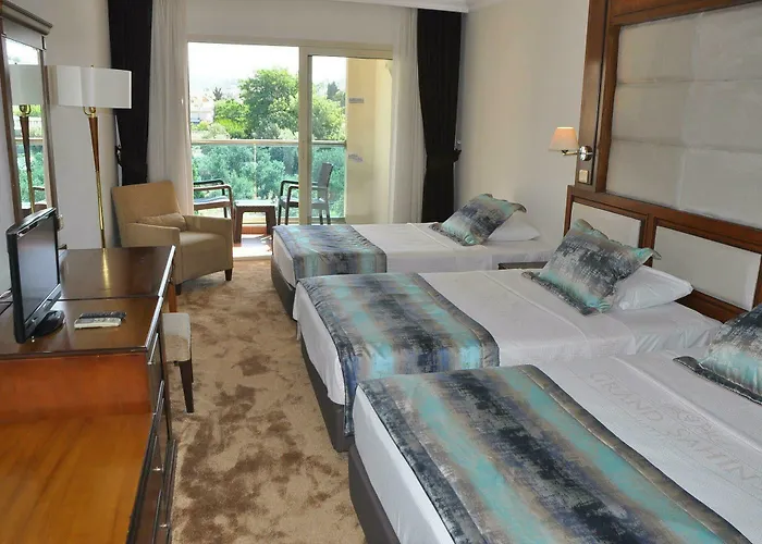 Grand Sahin's Hotel 3*